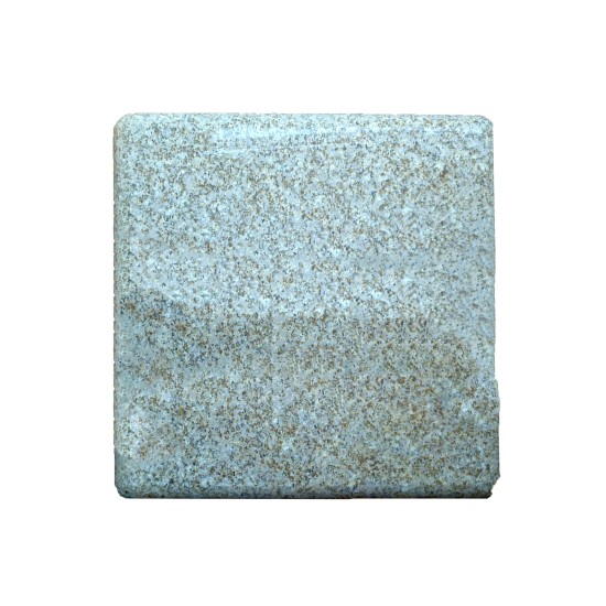 Capstone Mold CS 6000, 15" x 15"