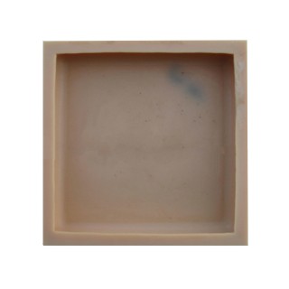 Capstone Mold CS 6000, 15" x 15"