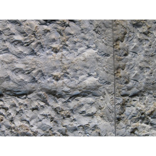 Limestone Mold Jerusalem Stone LS 1201, 24" x 14"
