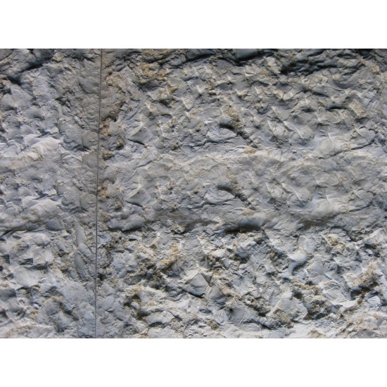 Limestone Mold Jerusalem Stone LS 1201, 24" x 14"