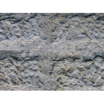 Limestone Mold Jerusalem Stone LS 1201, 24" x 14"