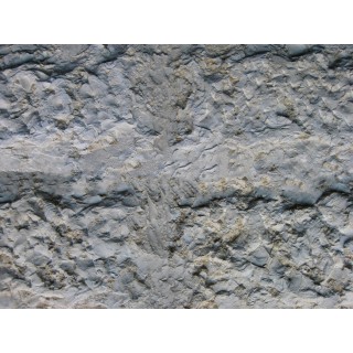Limestone Mold Jerusalem Stone LS 1201, 24" x 14"