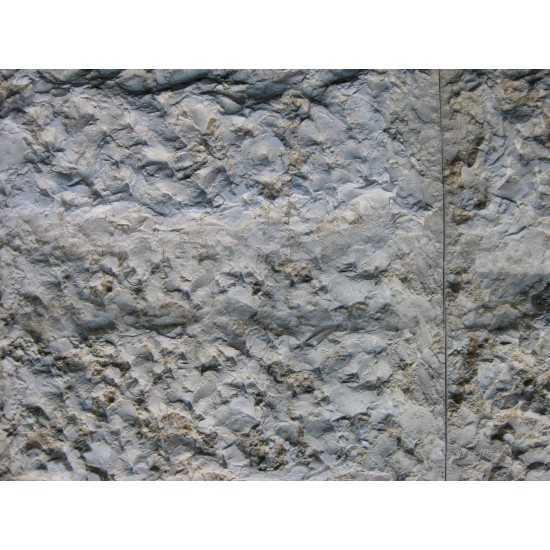 Limestone Mold Jerusalem Stone LS 1201, 24" x 14"