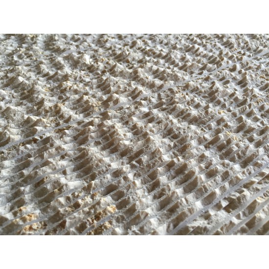 Limestone Mold Jerusalem Stone LS 1303, 22.75" x 13.25"