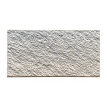 Paver Stone Mold PS 30047, 8" x 4"