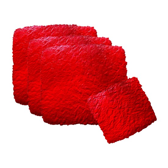 Seamless Stamped Concrete Skin Mat SKM 1700, 24" x 24"