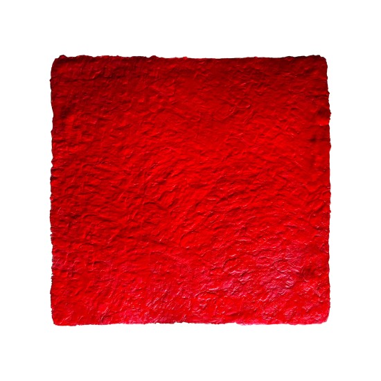 Seamless Stamped Concrete Skin Mat SKM 1700, 24" x 24"