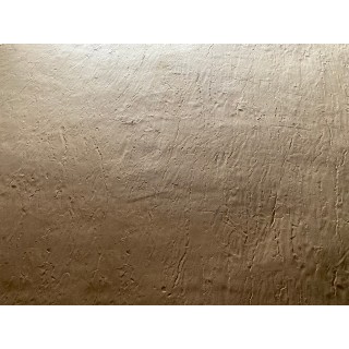 Seamless Stamped Concrete Skin Mat SKM 1400, 24" x 24"