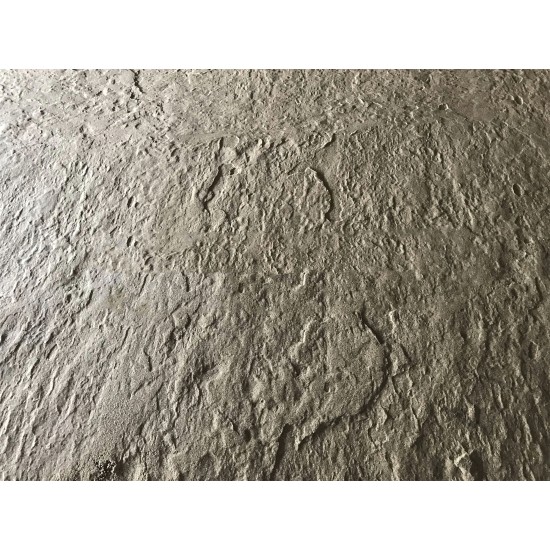 Seamless Stamped Concrete Skin Mat SKM 1200, 23.5" x 23.5"