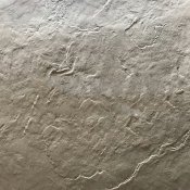 Seamless Stamped Concrete Skin Mat SKM 1300, 24" x 24" Seamless Stamped Concrete Skin Mat SKM 1300, 24" x 24"