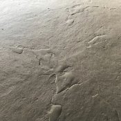 Seamless Textured Skin Mat SKM 3100, 23.5" x 23.5" Seamless Textured Skin Mat SKM 3100, 23.5" x 23.5"