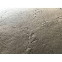 Seamless Textured Skin Mat SKM 3100, 23.5" x 23.5"