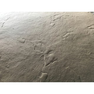 Seamless Textured Skin Mat SKM 3100, 23.5" x 23.5"