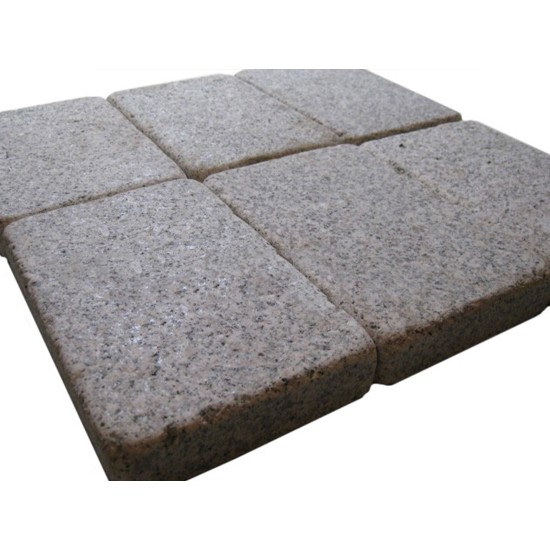 Stepping Stone Mold SS 5201, 9" x 6"