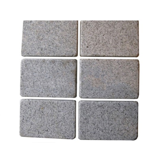 Stepping Stone Mold SS 5201, 9" x 6"
