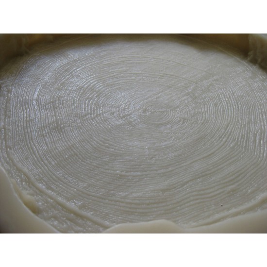 Concrete Stepping Stone Mold Log WS 5901, 16" x 2"