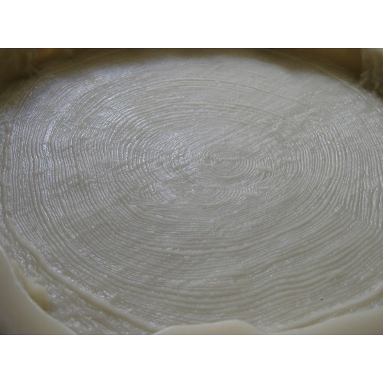 Concrete Stepping Stone Mold Log WS 5901, 16" x 2"