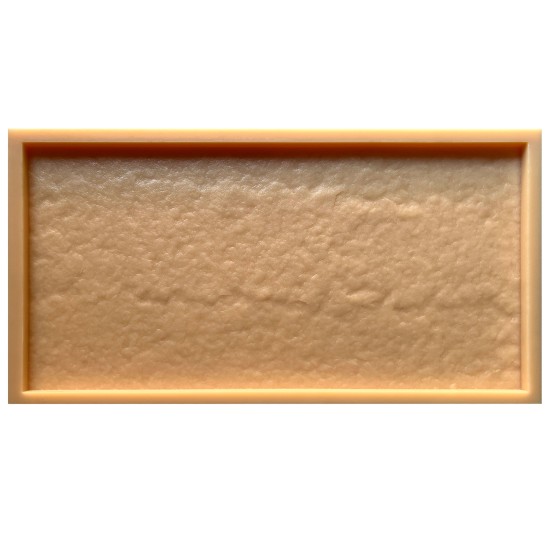 Stepping Stone Mold SS 5302, 24.75" x 13"