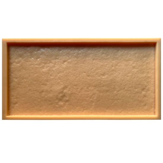 Stepping Stone Mold SS 5302, 24.75" x 13"