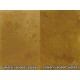 G-Stain Water Based Concrete Stain Concentrate