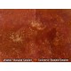 G-Stain Water Based Concrete Stain Concentrate