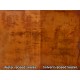 G-Stain Water Based Concrete Stain Concentrate