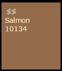 10134 Salmon
